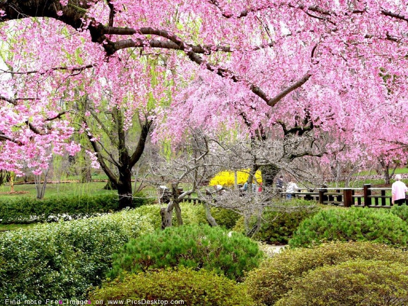 Go Back Gallery For Springtime Backgrounds Desktop