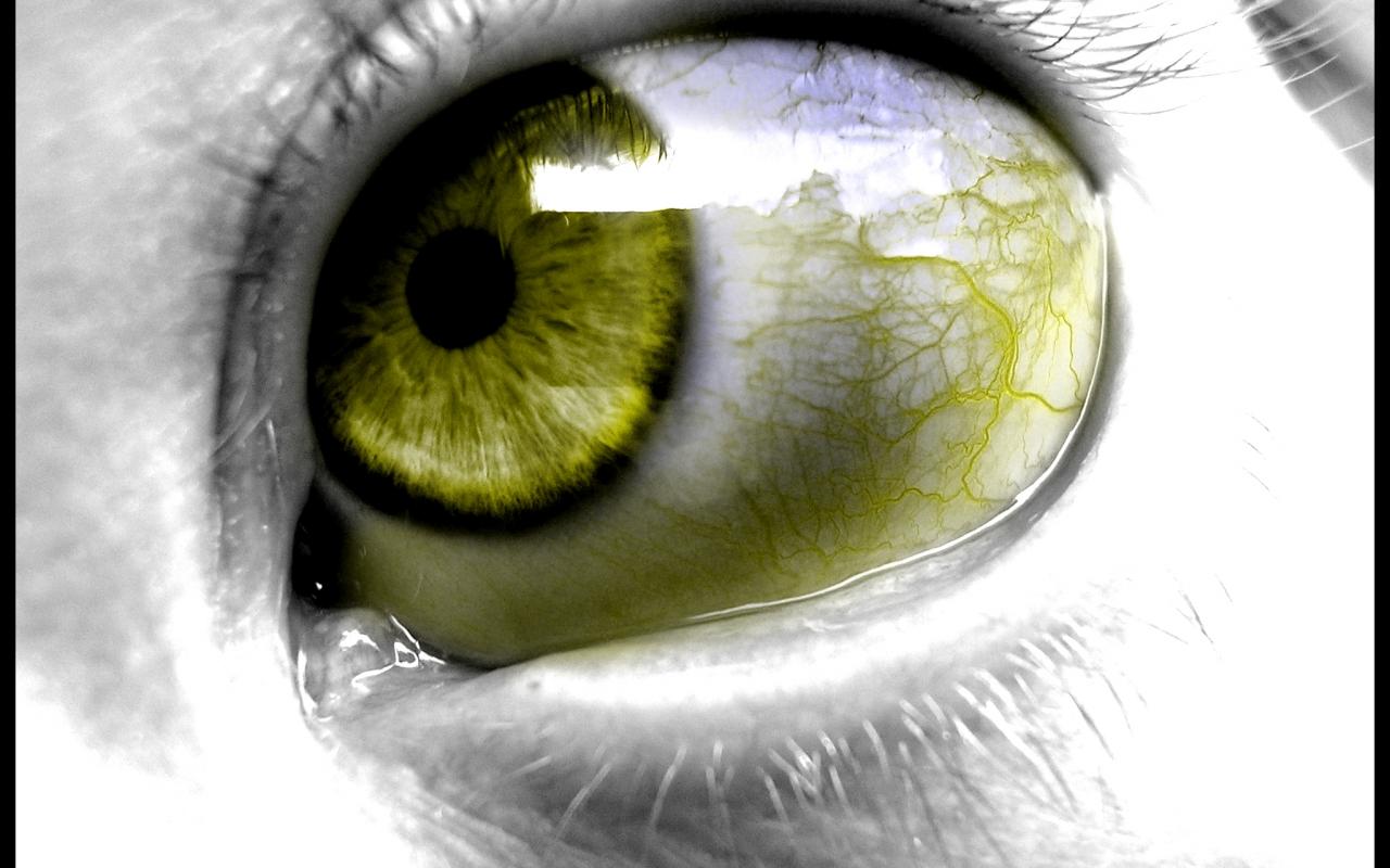 Eyes Yellow Big Hq Wide