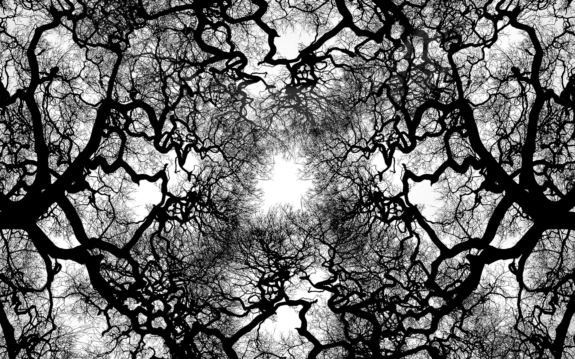 Abstract Tree Wallpaper Image Amp Pictures Becuo