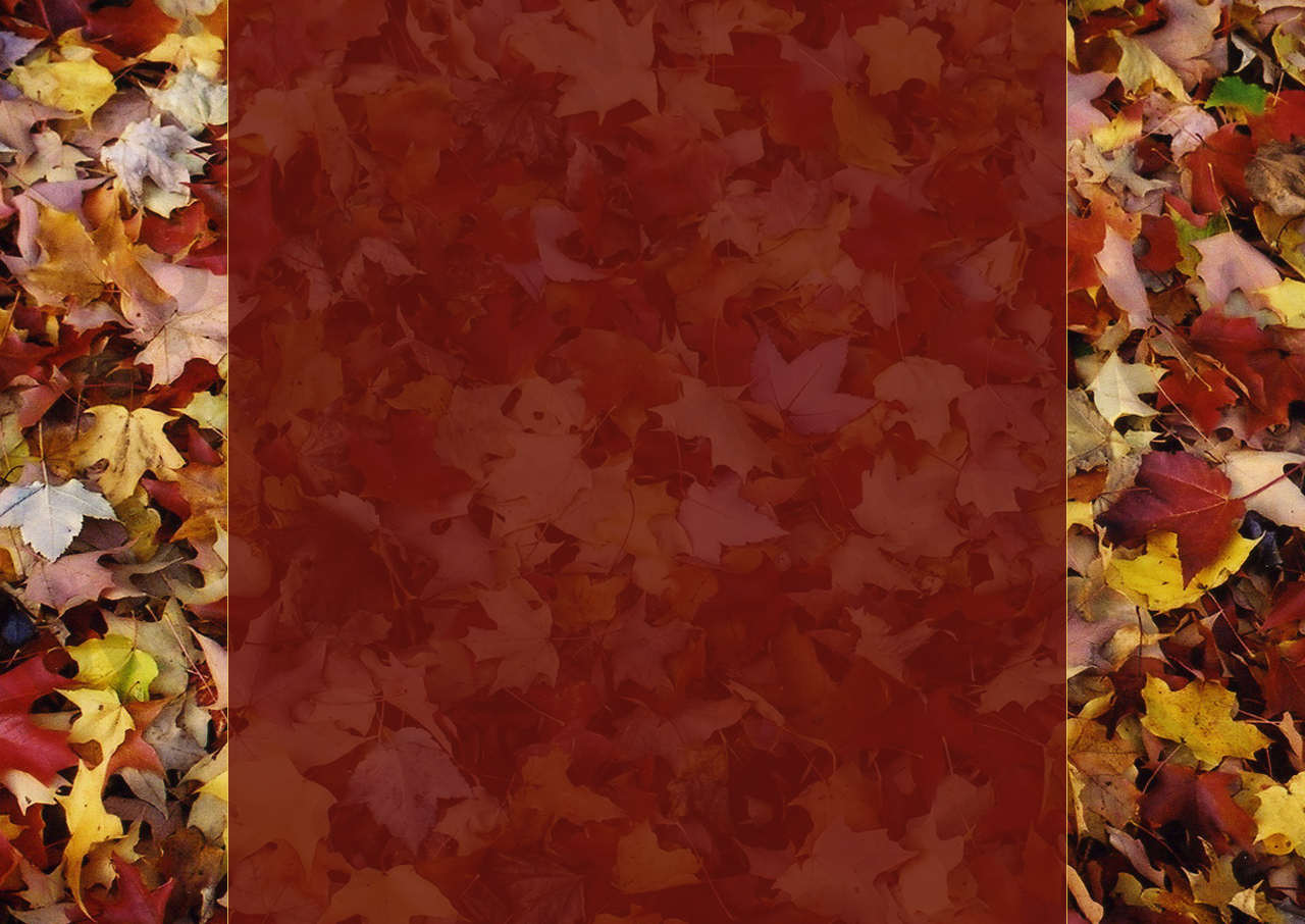 Fall Background Themes