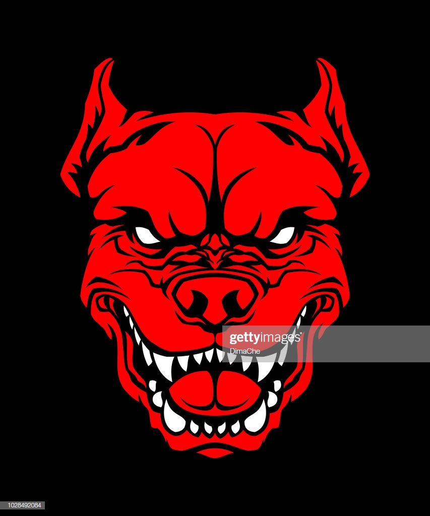 Angry Red Dog Head On Black Background Pit Bull Mascot Cut Out
