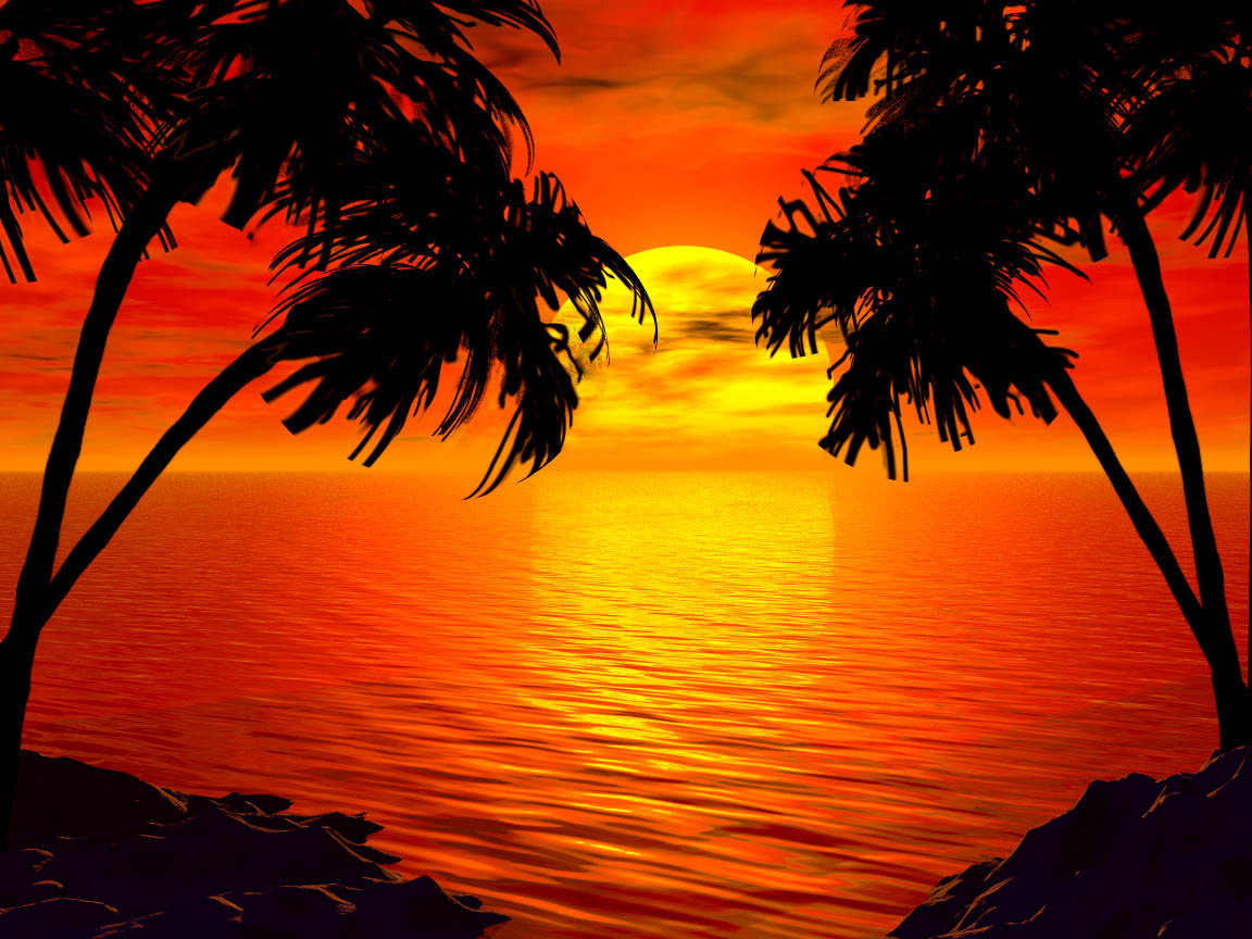 Tropical Beach Sunset Wallpaper Best Collection