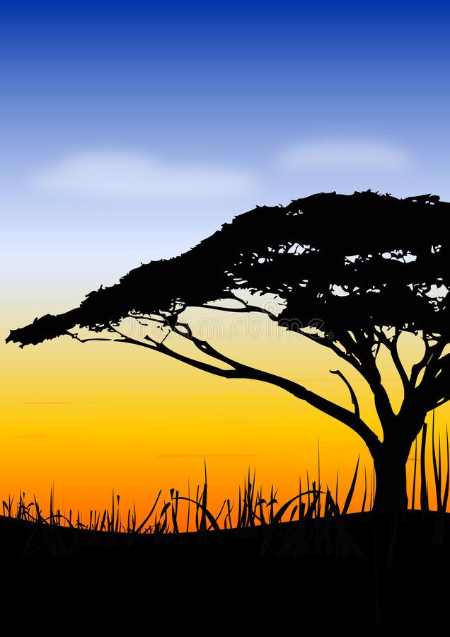 Africa Sundown Landscape With Blue