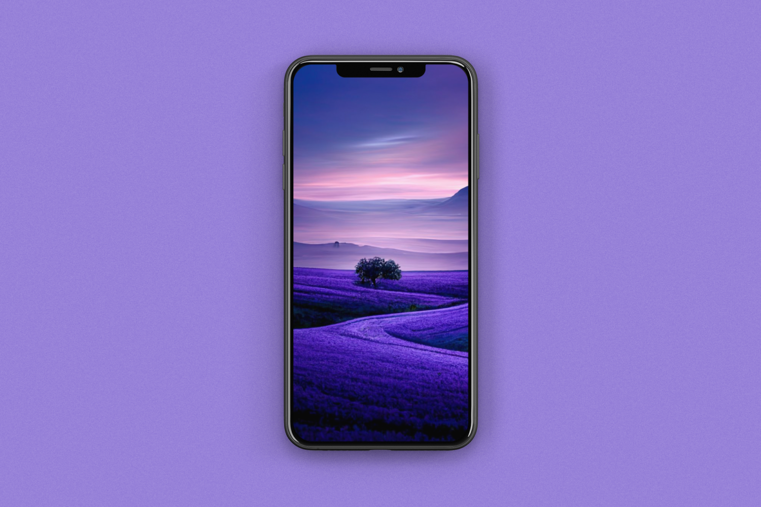 Free download Purple iPhone 14 wallpaper pack [1500x1000] for your