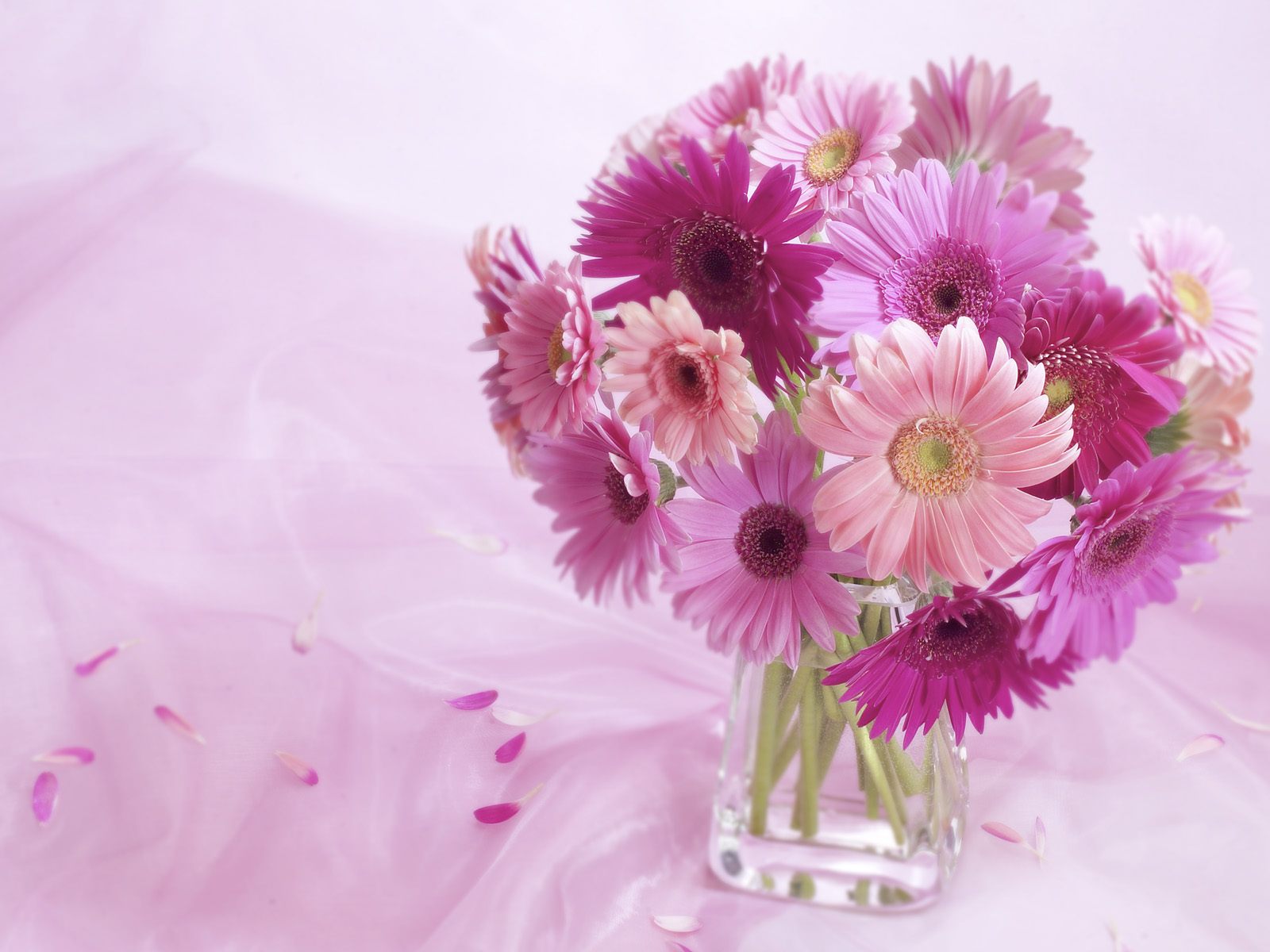 Beautiful Flower Wallpaper For You Vase Of Flowers