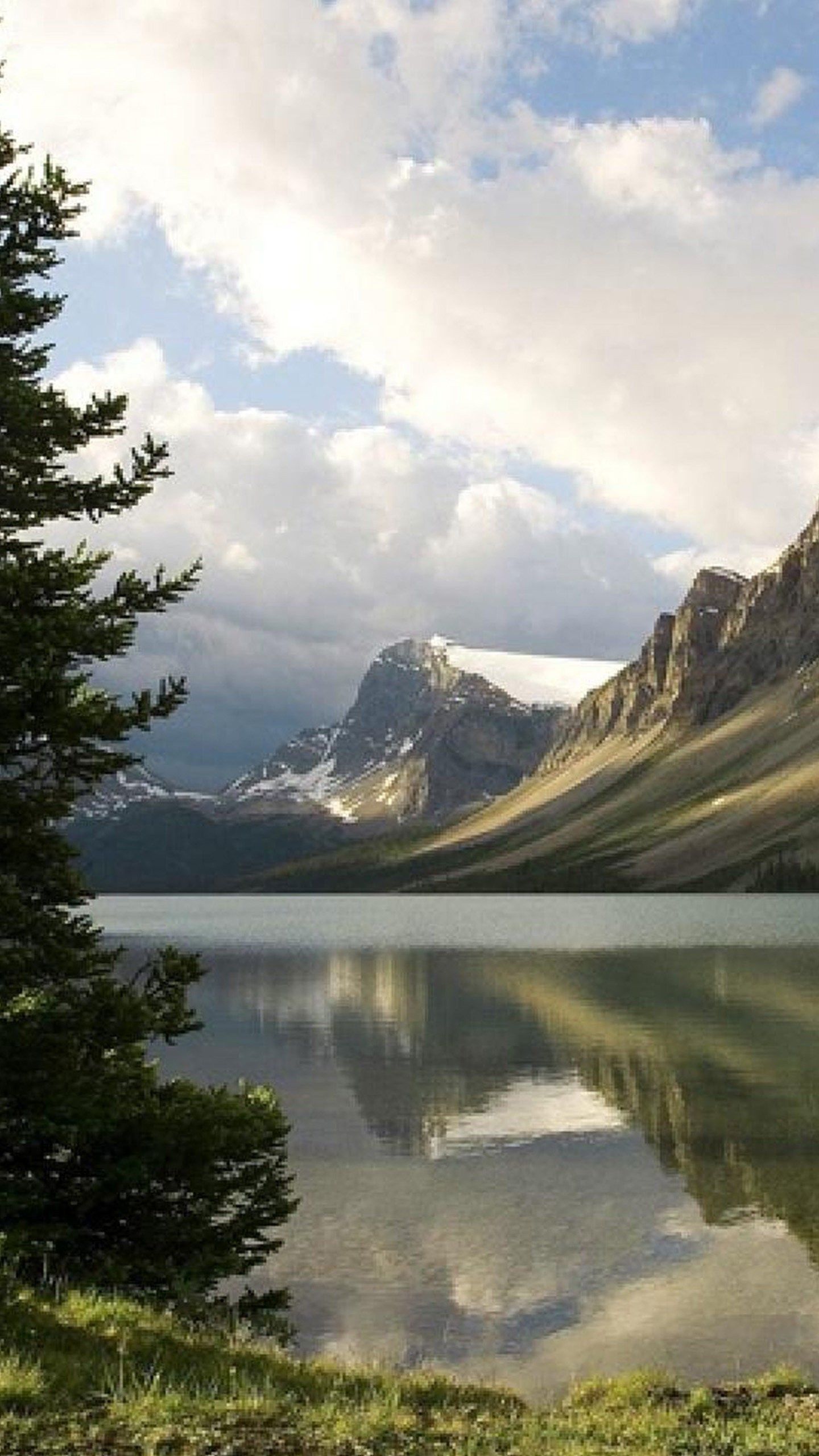 Nature Phone Wallpaper