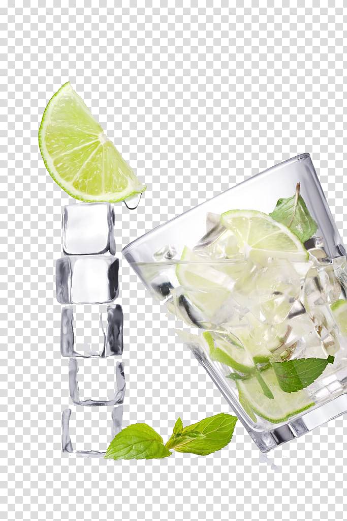 Vodka Tonic Gin And Juice Lemonade Limeade Glass Fruit