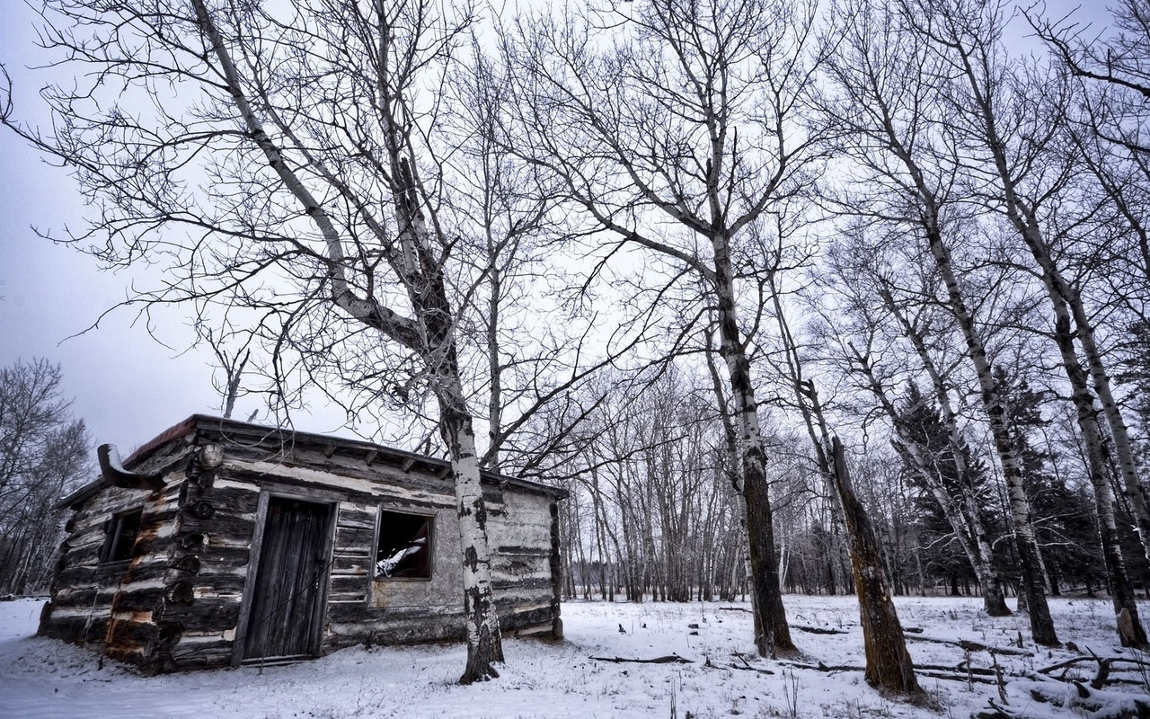 Abandoned Wood Cabin In The Winter Forest Wallpaper