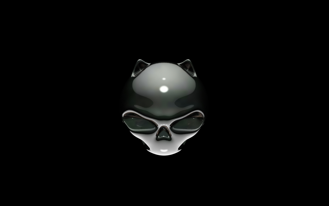 Download Funny Skulls wallpaper cat skull wallpaper