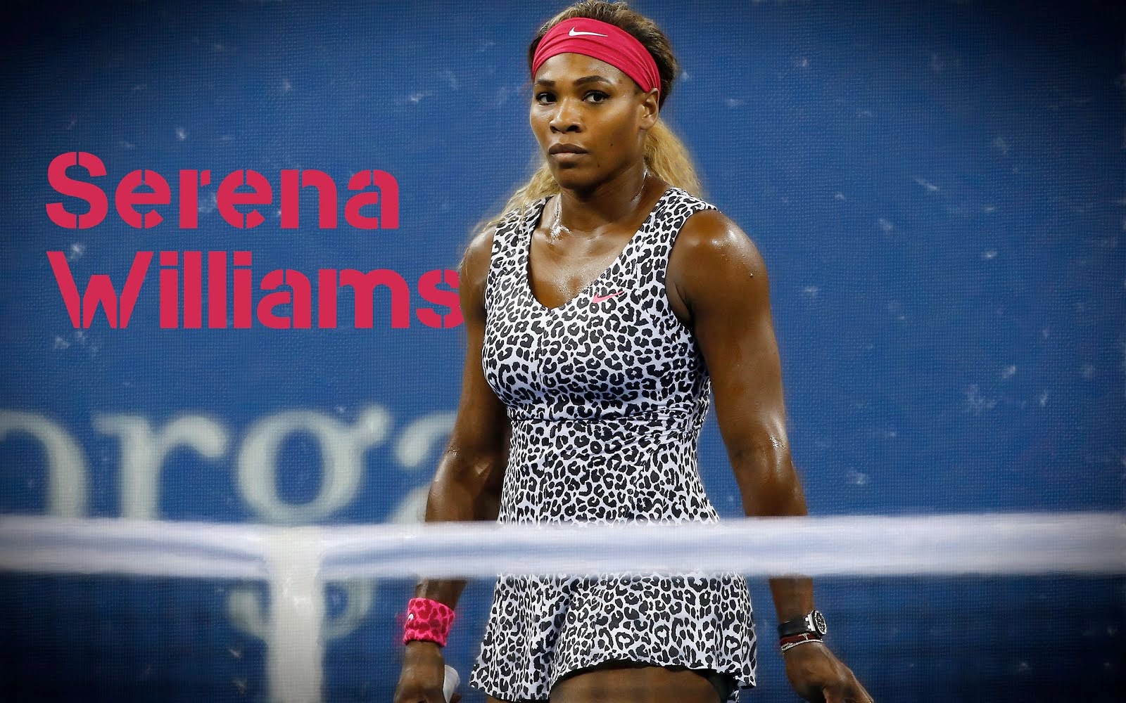 Serena Williams HD Wallpaper High