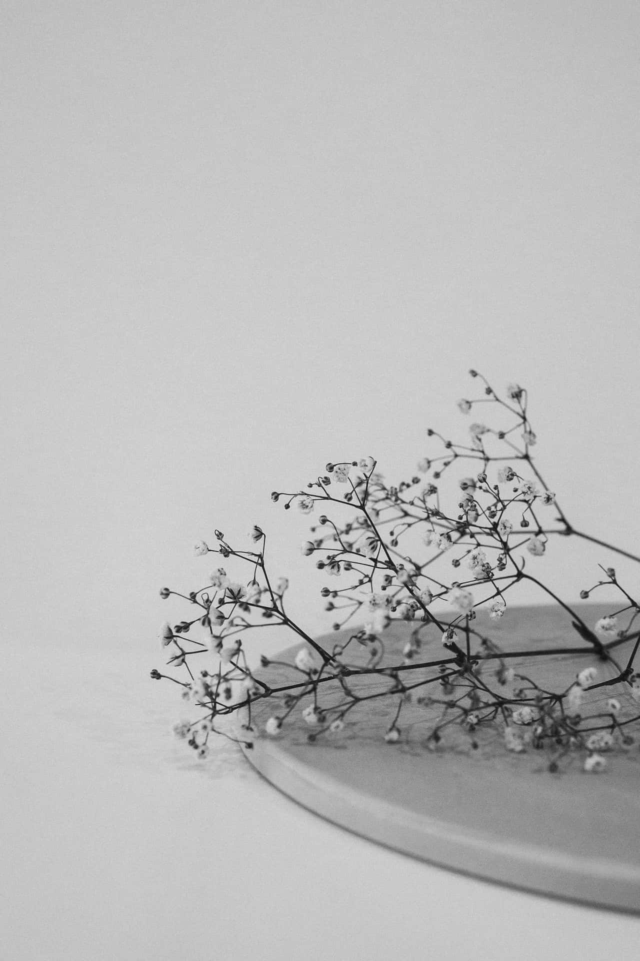 Cool Black And White Aesthetic Wallpaper