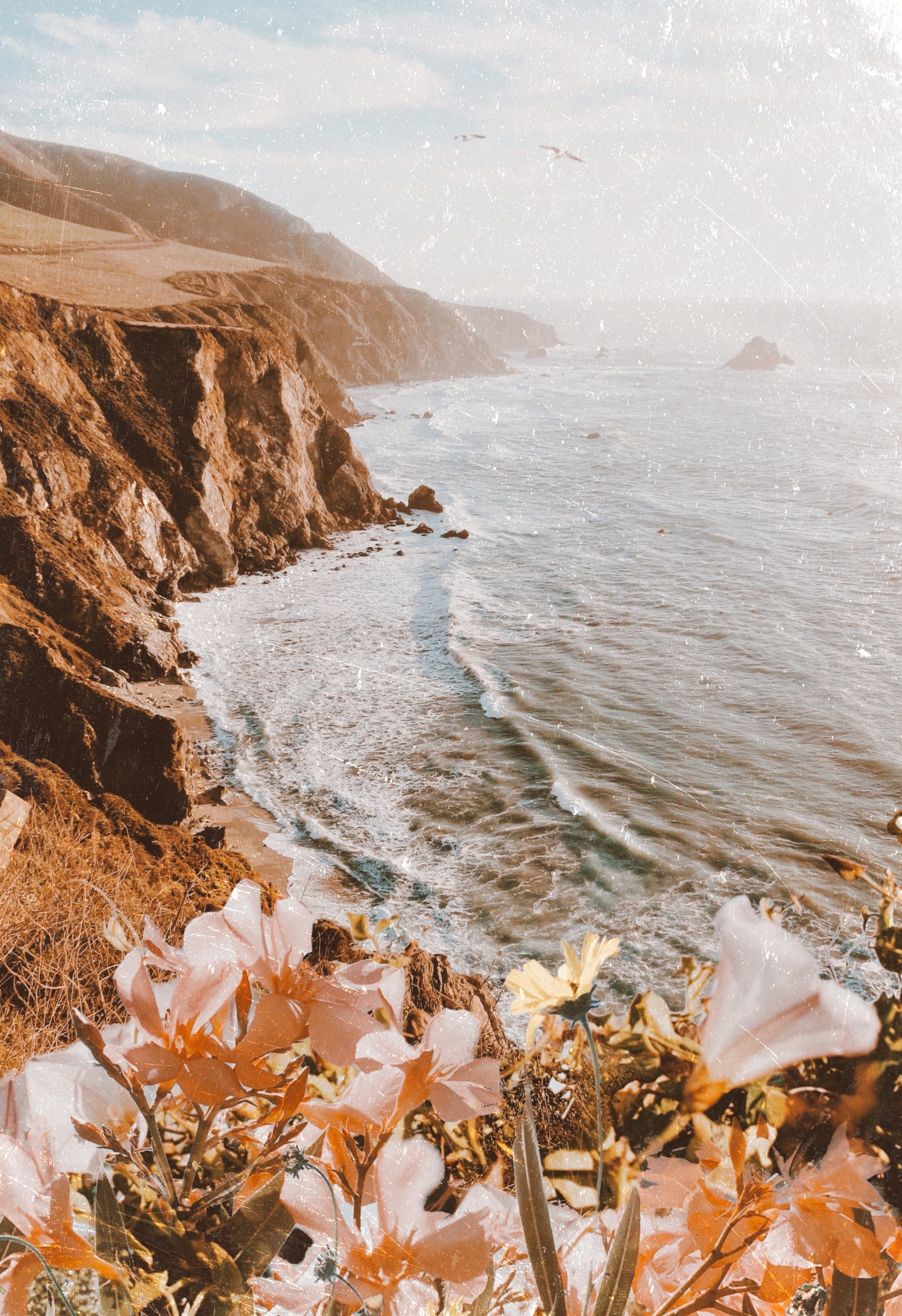 Ocean Aesthetic Collage Wallpaper