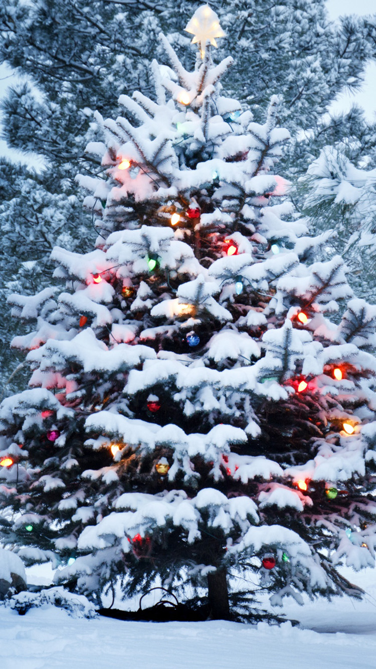 Snow Christmas Tree iPhone Wallpaper HD