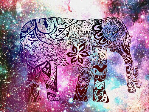 Background Bling Boho Colorful Colors Cute Drawing Elephant