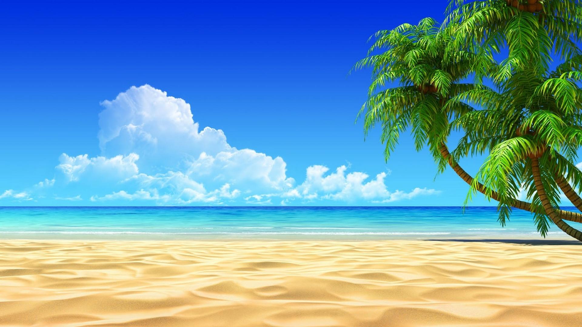 2002384 sea summer paradise fantastic beach sunset palm tree