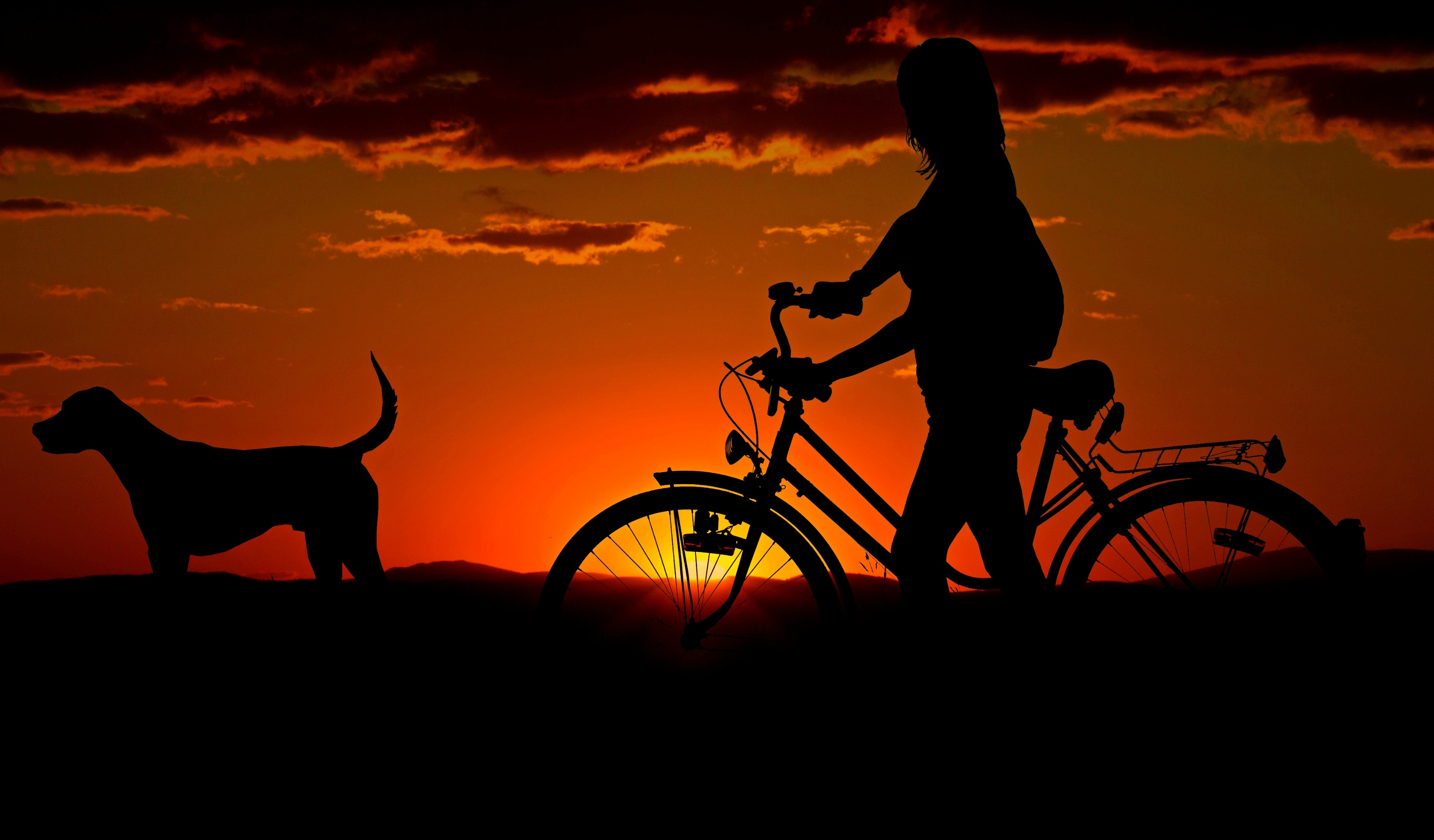Girl Cycle Dog Morning Walk Wallpaper HD Photography 4k