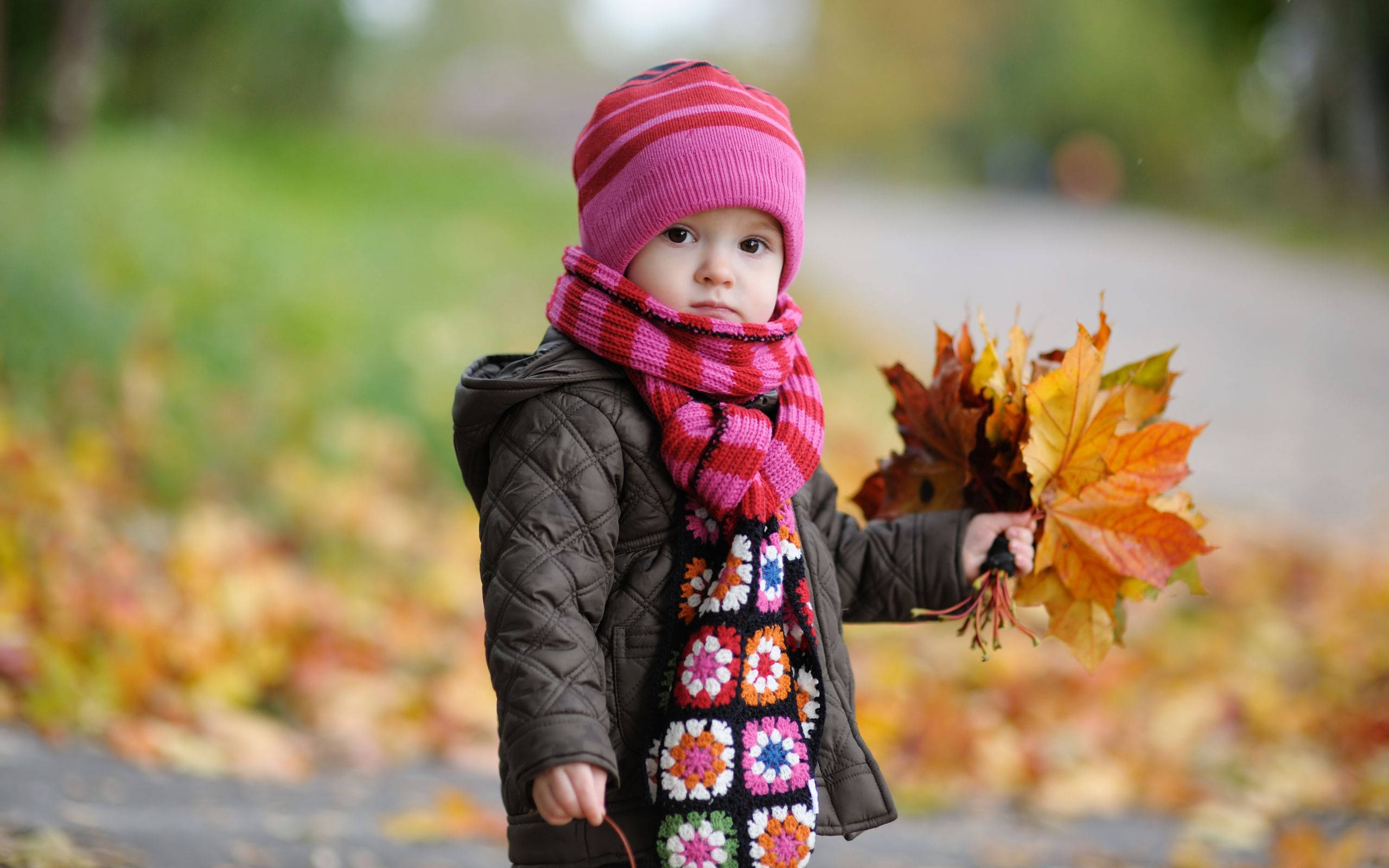Baby HD Wallpaper