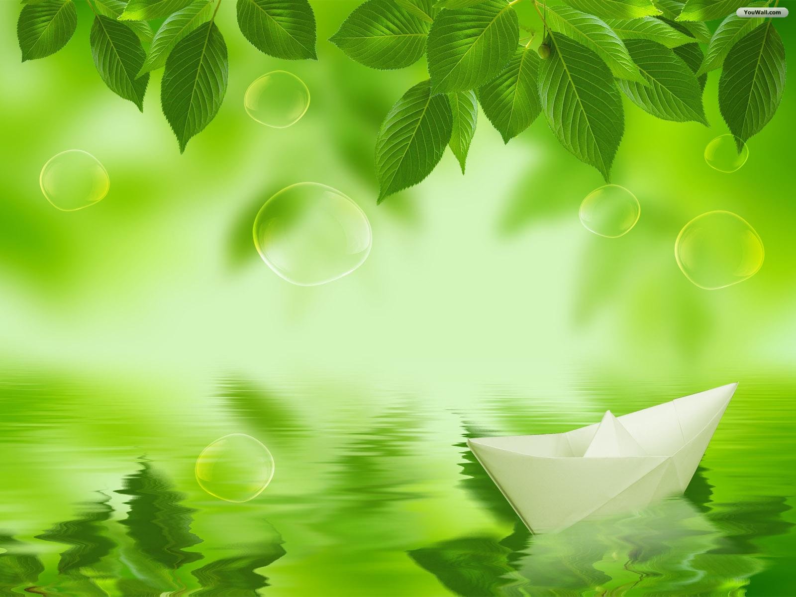 Download Green Leaves Wallpaper Backgrounds pictures in high