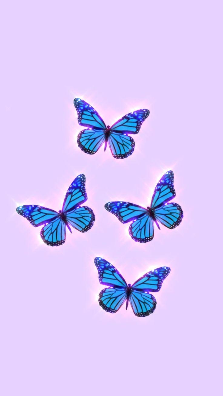 Butterfly aesthetic wallpaper Butterfly wallpaper Butterfly