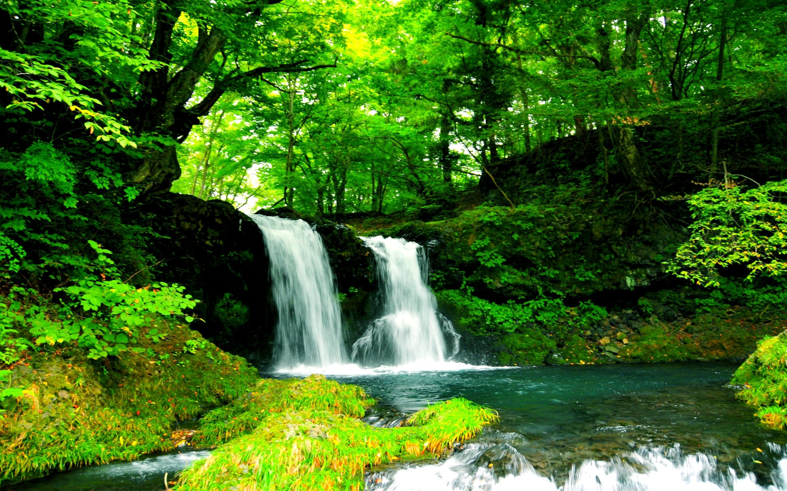 Beautiful Nature Wallpaper Collection For