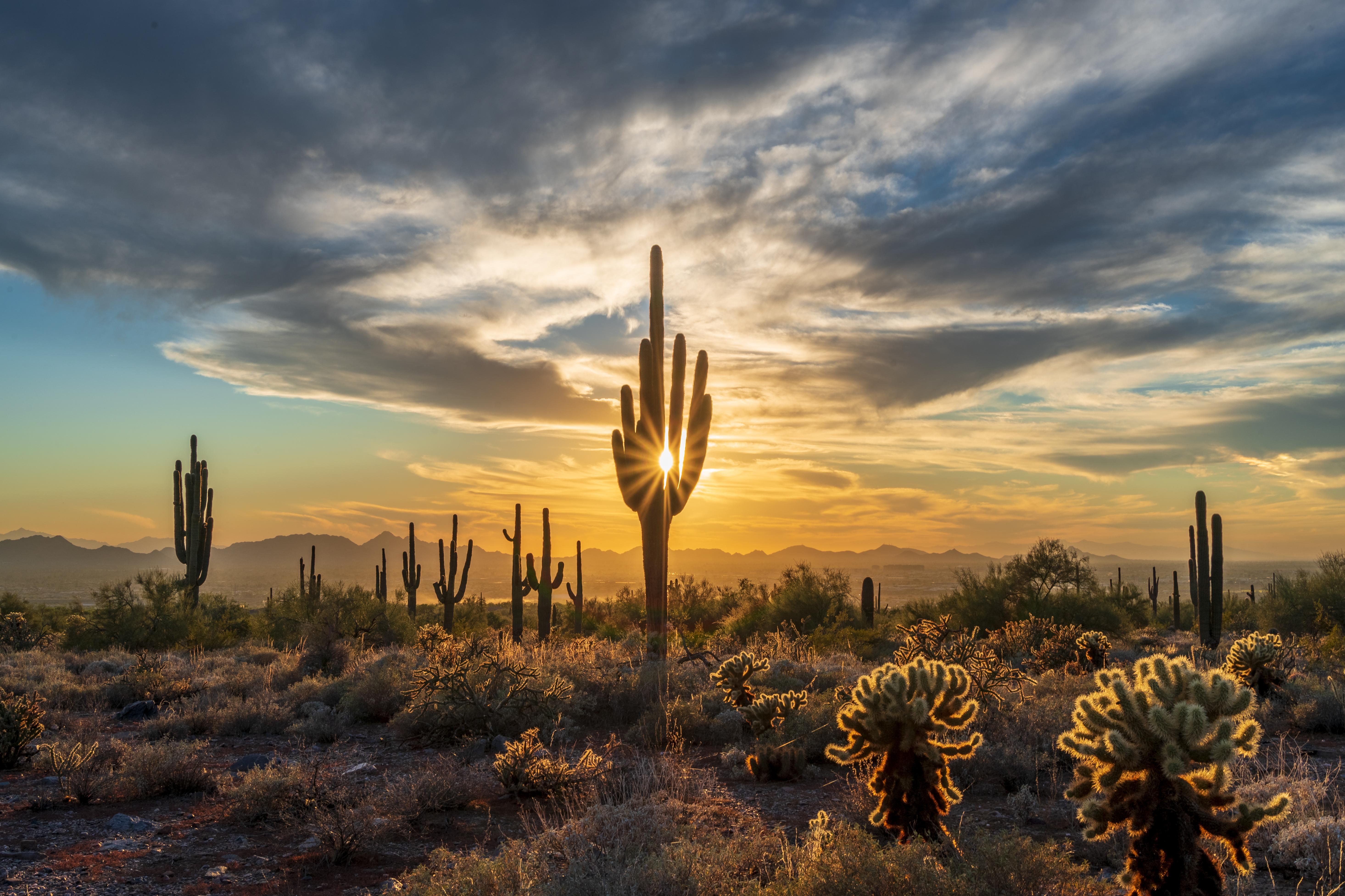 5 Spots to Watch Sunrise Sunset Experience Scottsdale