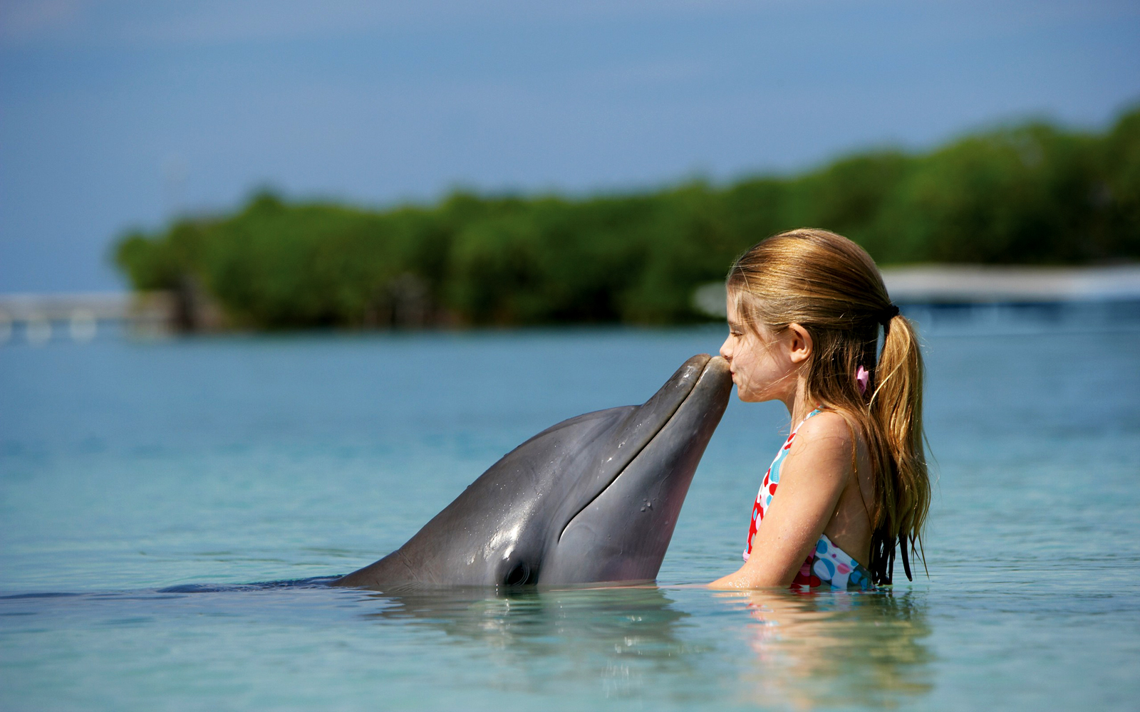 Girl Kissing Dolphin Desktop Wallpaper Playboy