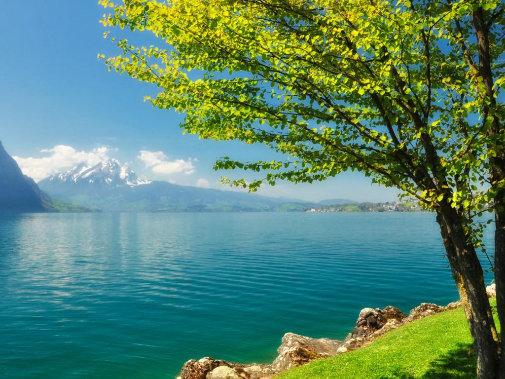 Beautiful Scenery Wallpaper HD Pictures One