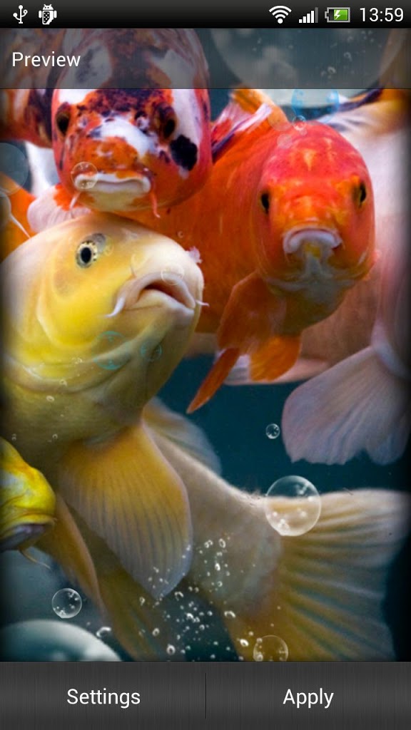 Koi Fish Live Wallpaper For Android