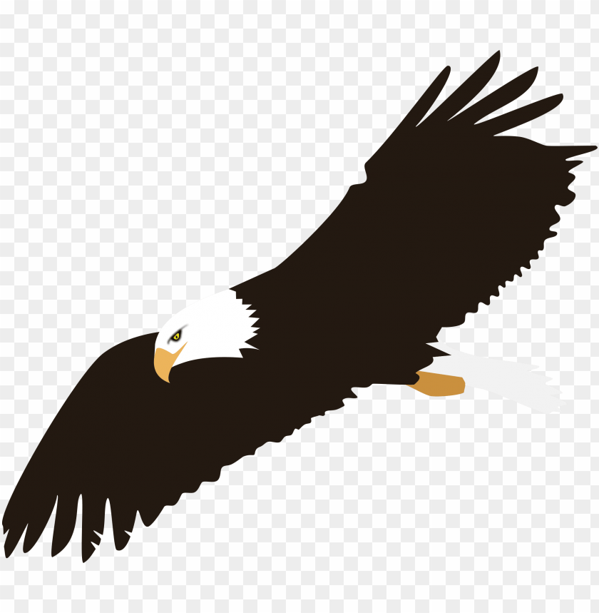 Soaring Eagle Png Image Transparent Background Clipart