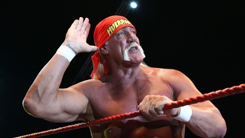 Hulk Hogan Salute HD Wallpaper Wallpaperfx