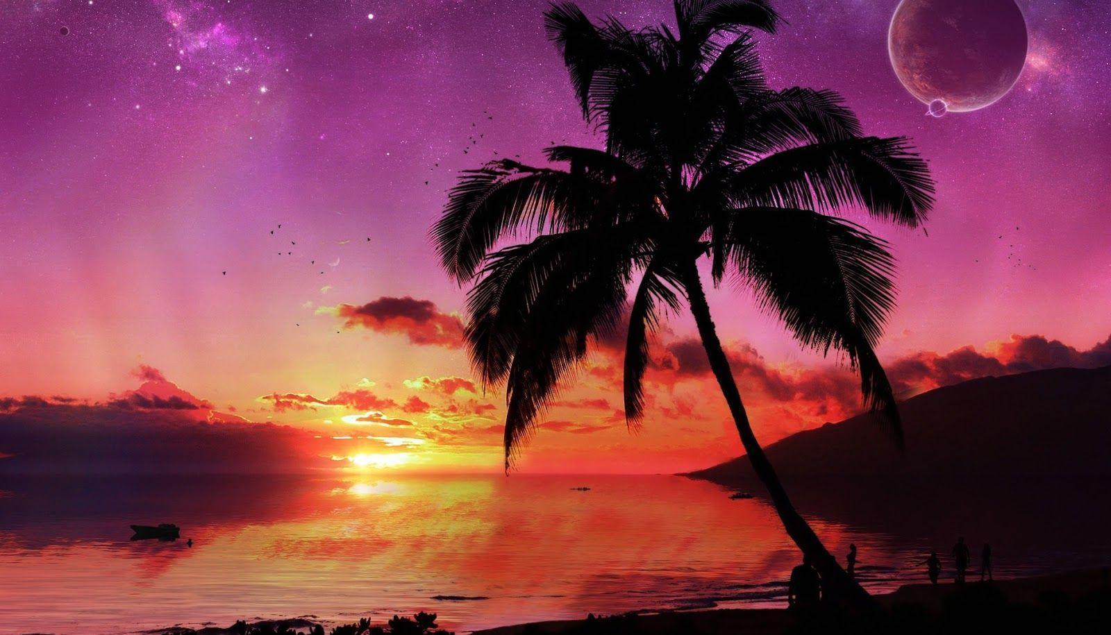 Free download Tropical Island Sunset Wallpapers [1600x916] for