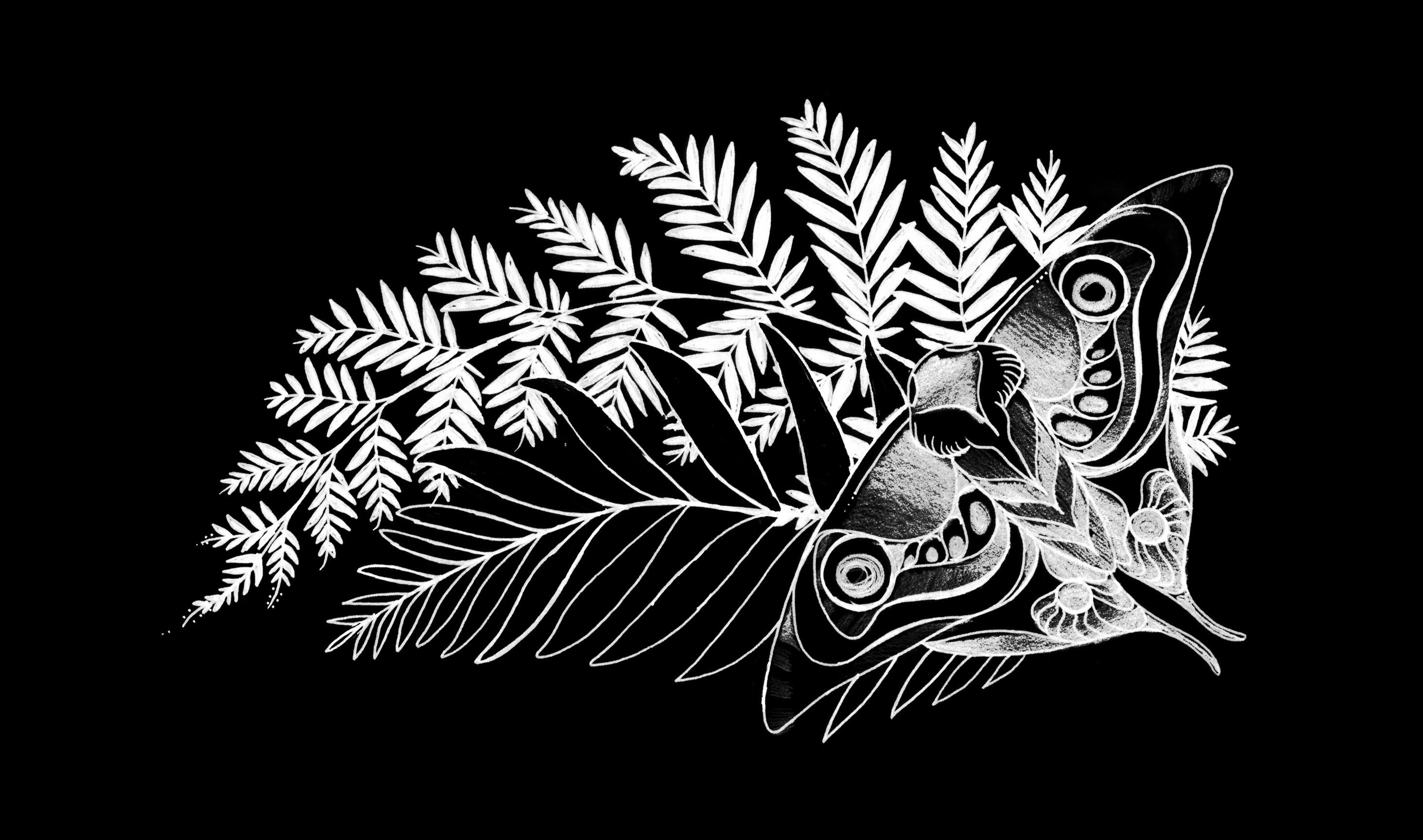Black and white drawing of two moths surrounded by fern leaves on a black background, creating a design suitable for a tattoo