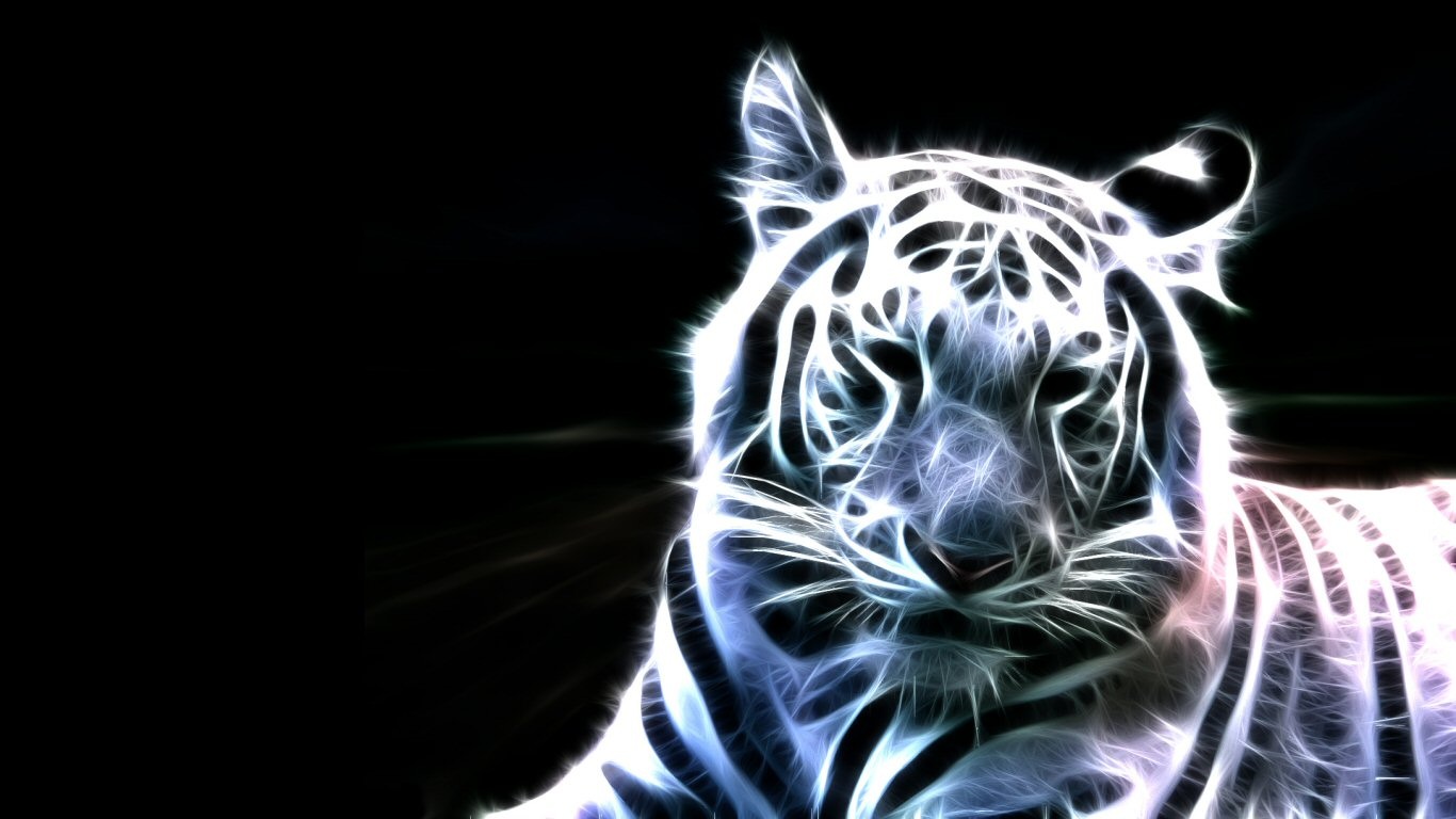 Animals Tigers Wallpaper Fractalius Black