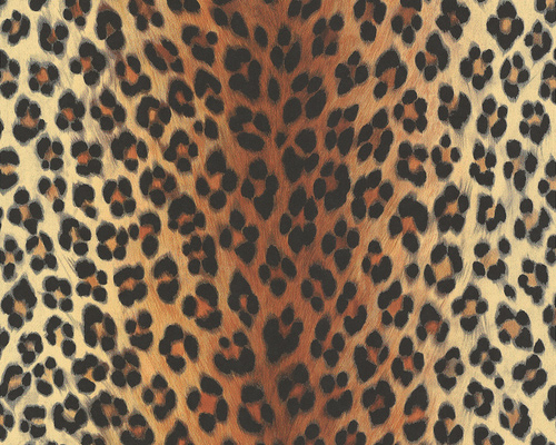 Background With Black And Orange Leopard Print Pattern Animal