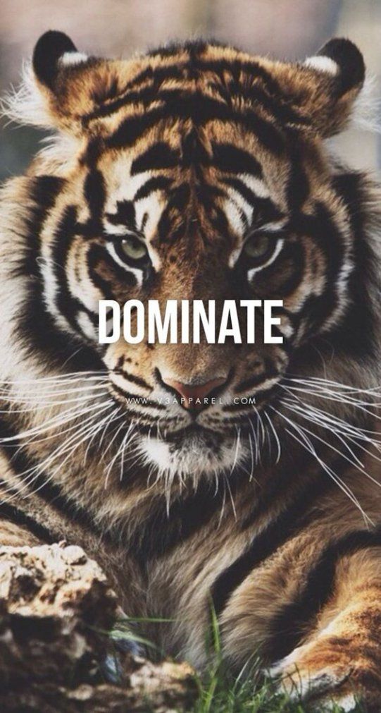 Iheartbasketball On Chill Motivational Quotes For Life