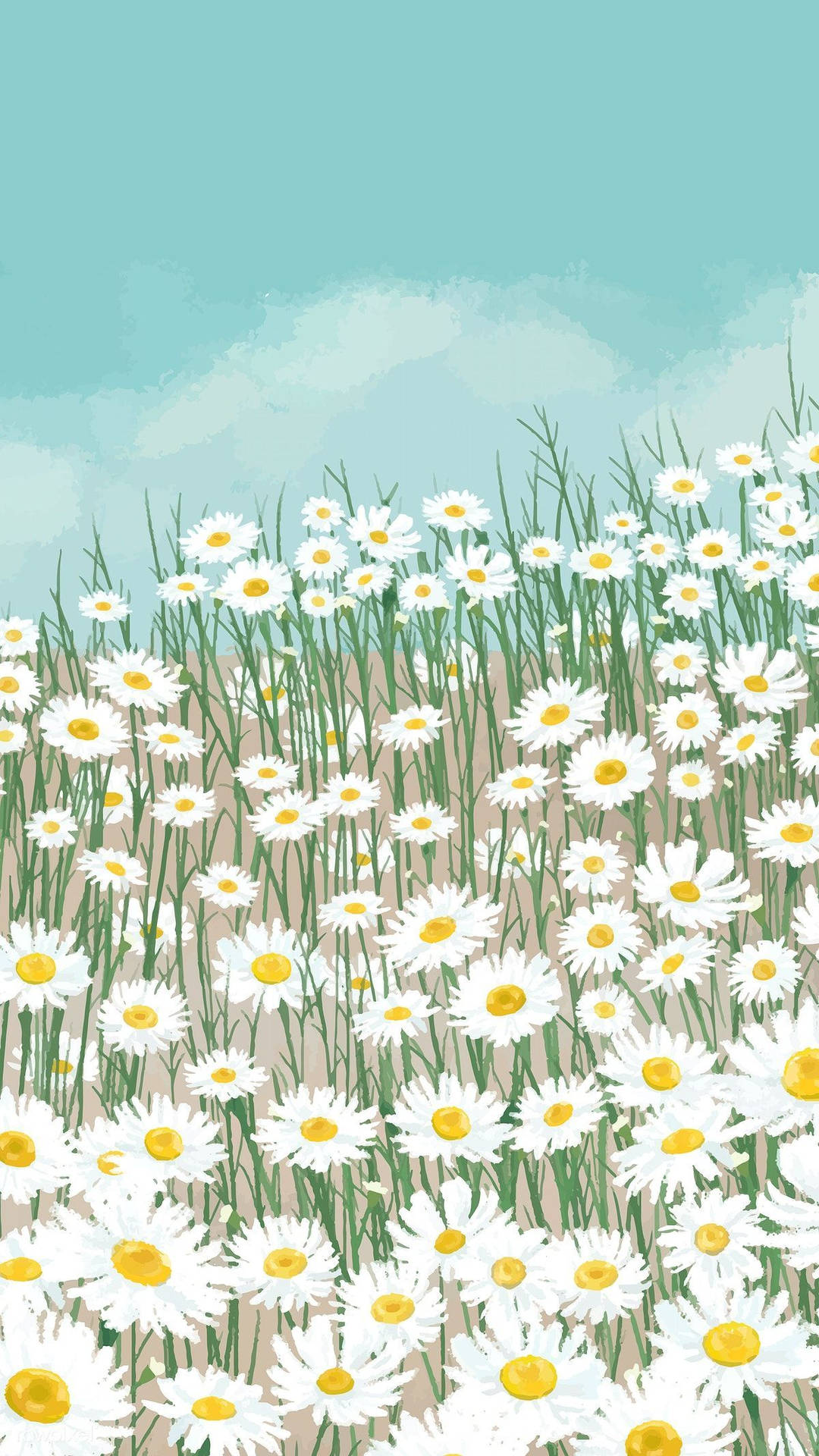 Daisy Aesthetic Wallpaper