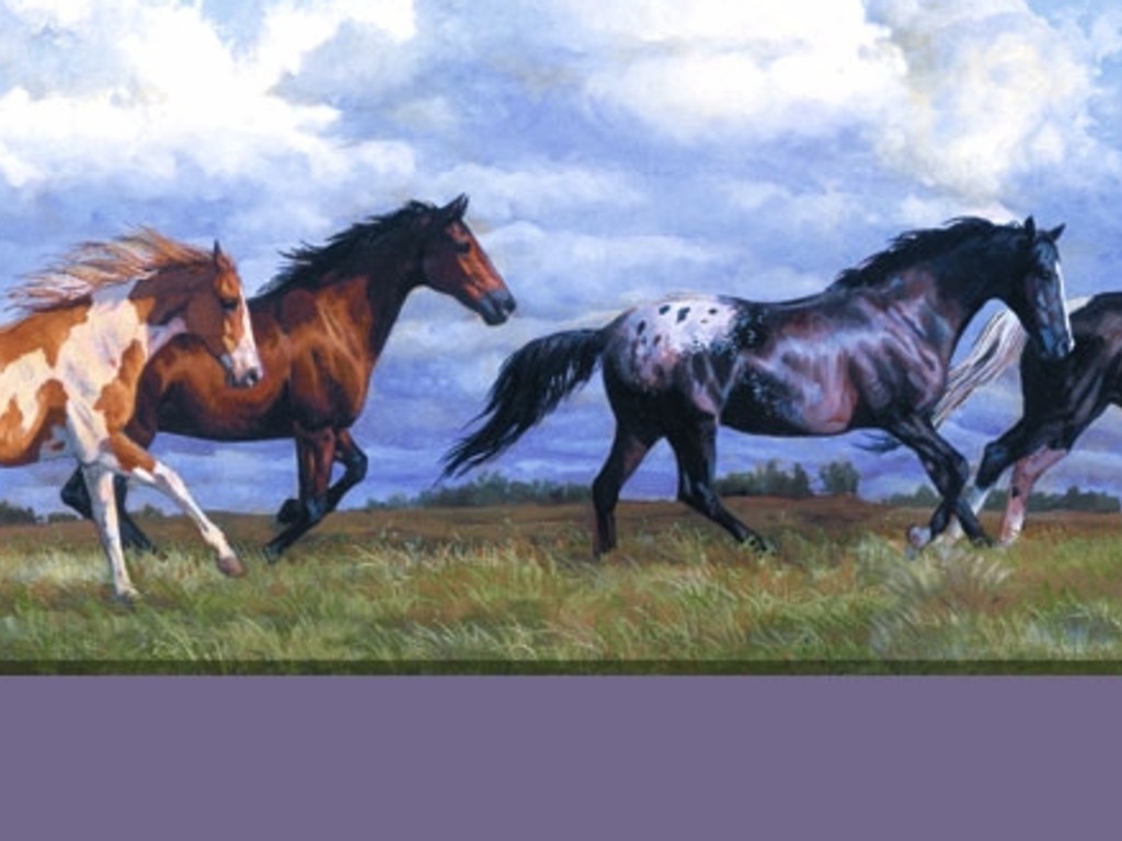 Horse Wallpaper For Puter