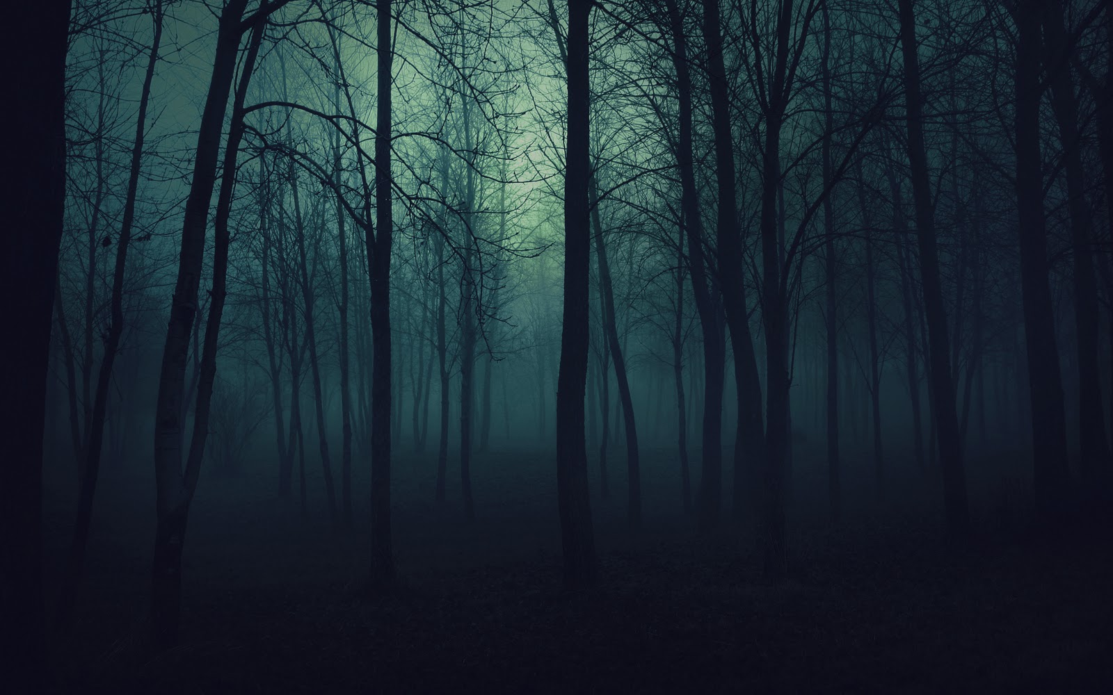In A Creepy Night Autum Forrest Wallpaper