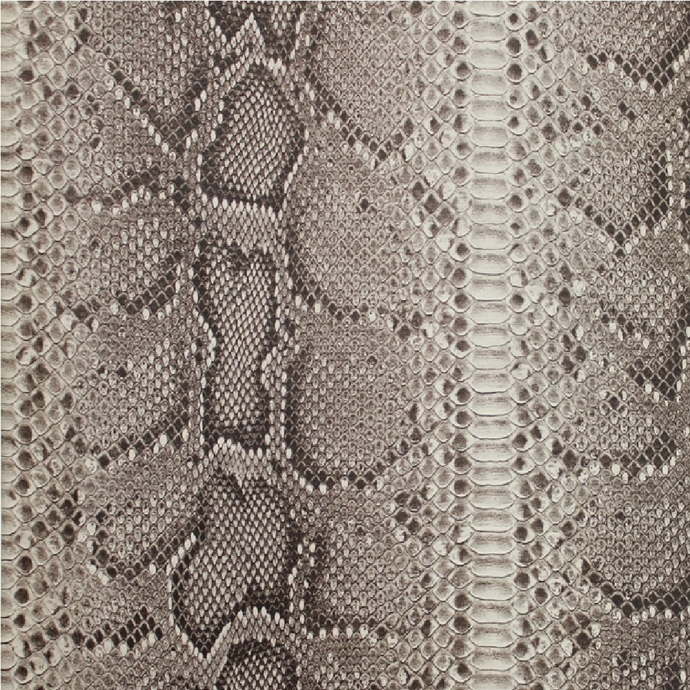 White Snake Skin Texture Natural Python