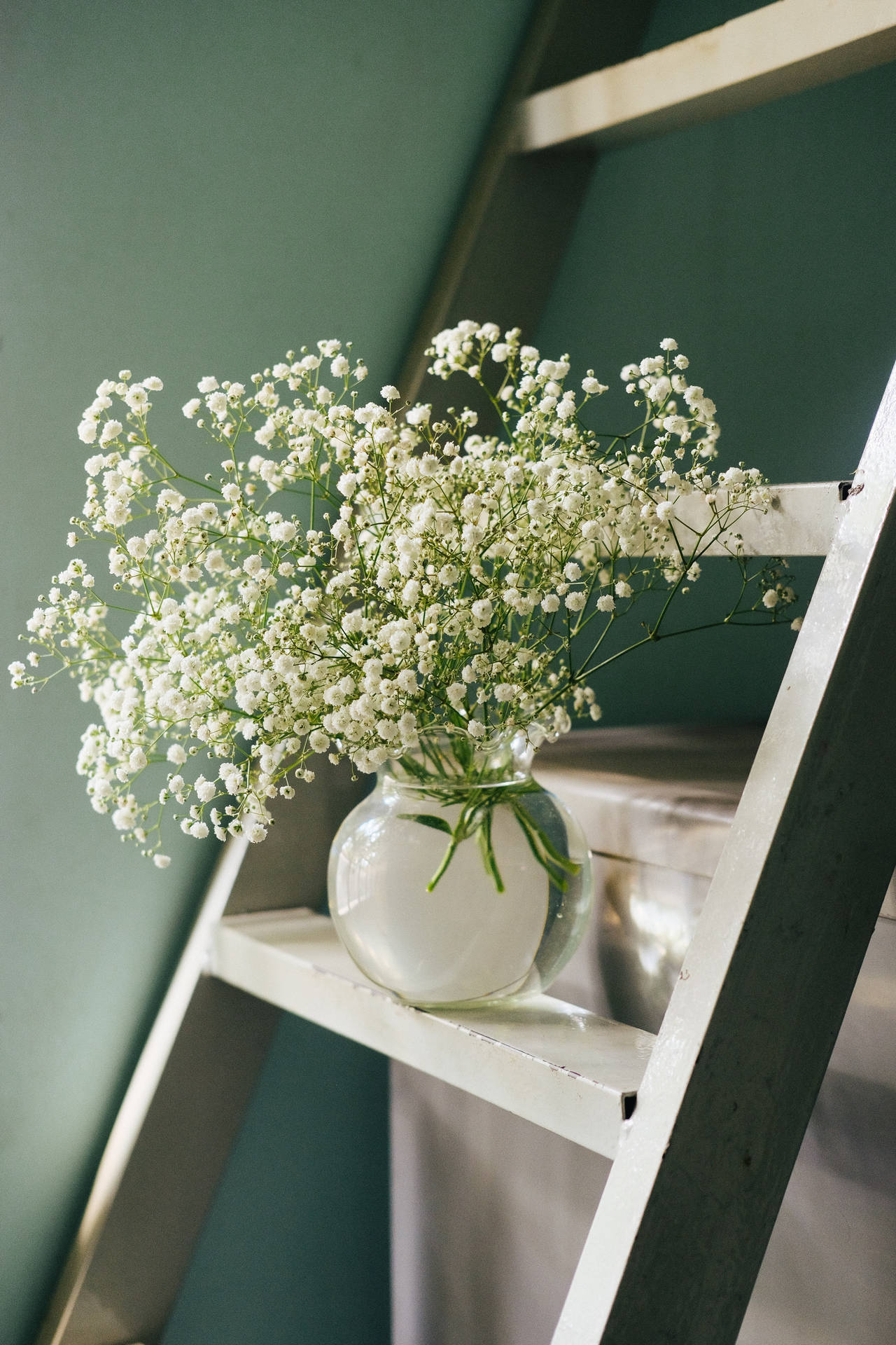 Flowers Aesthetic Wallpaper