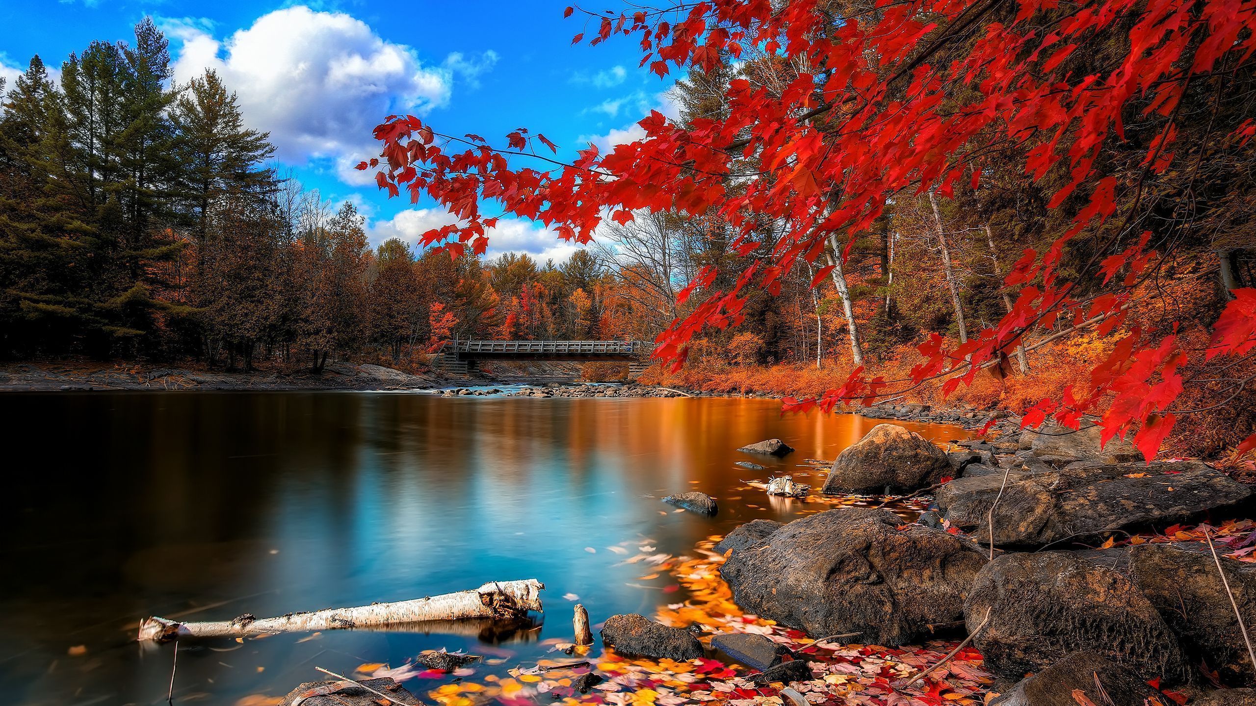 Fall Wallpaper On