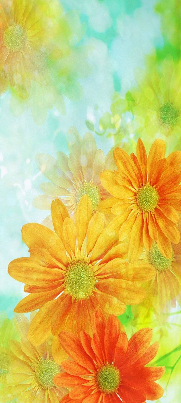 Vivo Y20 Wallpaper