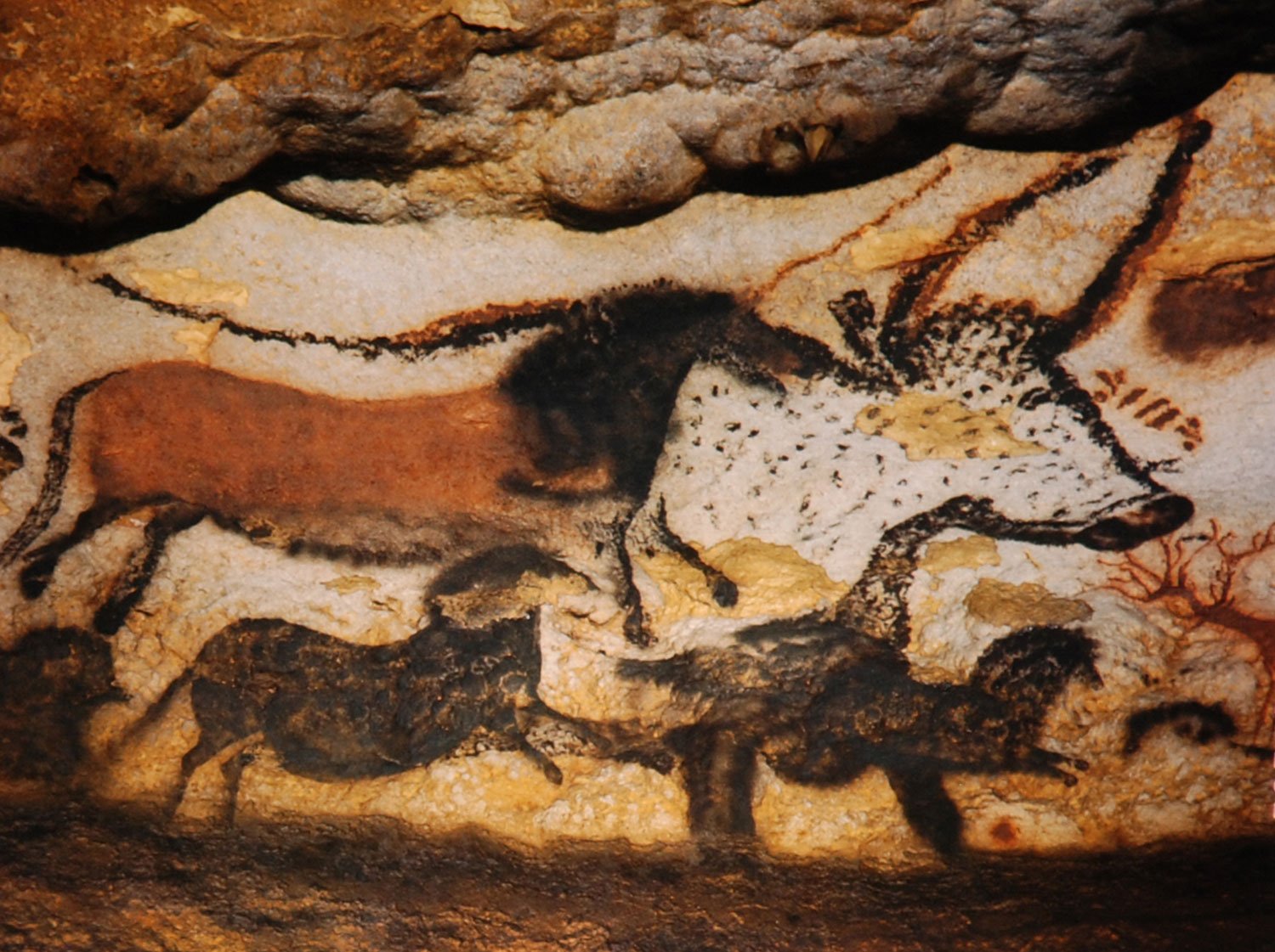 Lascaux Early Color Photos Of The Famous Cave Paintings France
