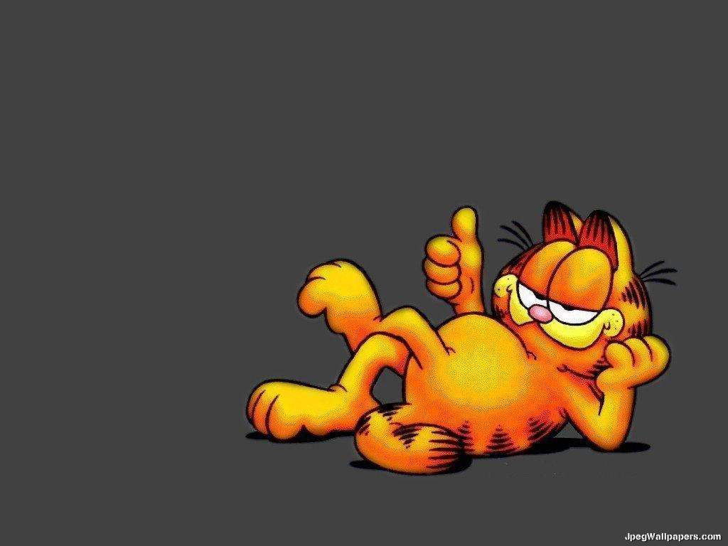 The Cool Garfield Wallpaper