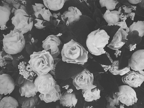 Background Black And White Cute Floral Flowers Pretty