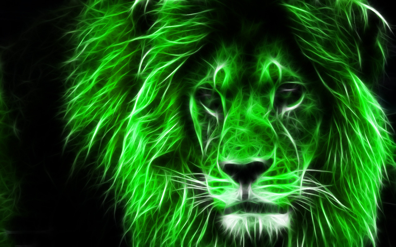 3d Lion Uskydaq Wallpaper And Background Image Of