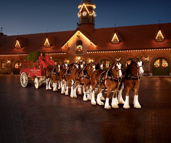 The five most memorable Budweiser Clydesdale commercials the horses