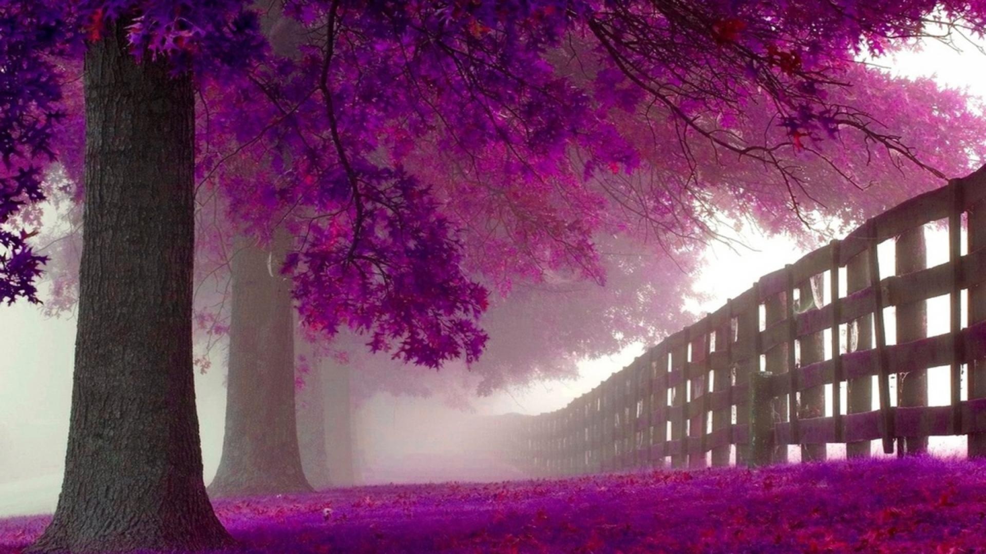 Purple Trees Wallpaper