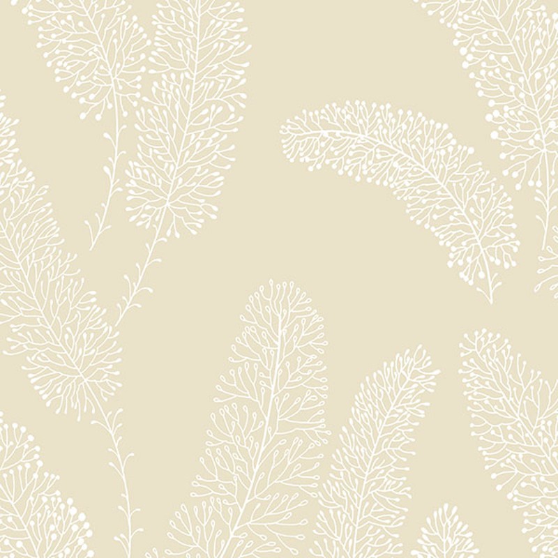 Free download Coral Branches Wallpaper Discount Wallcovering [800x800] for your Desktop, Mobile