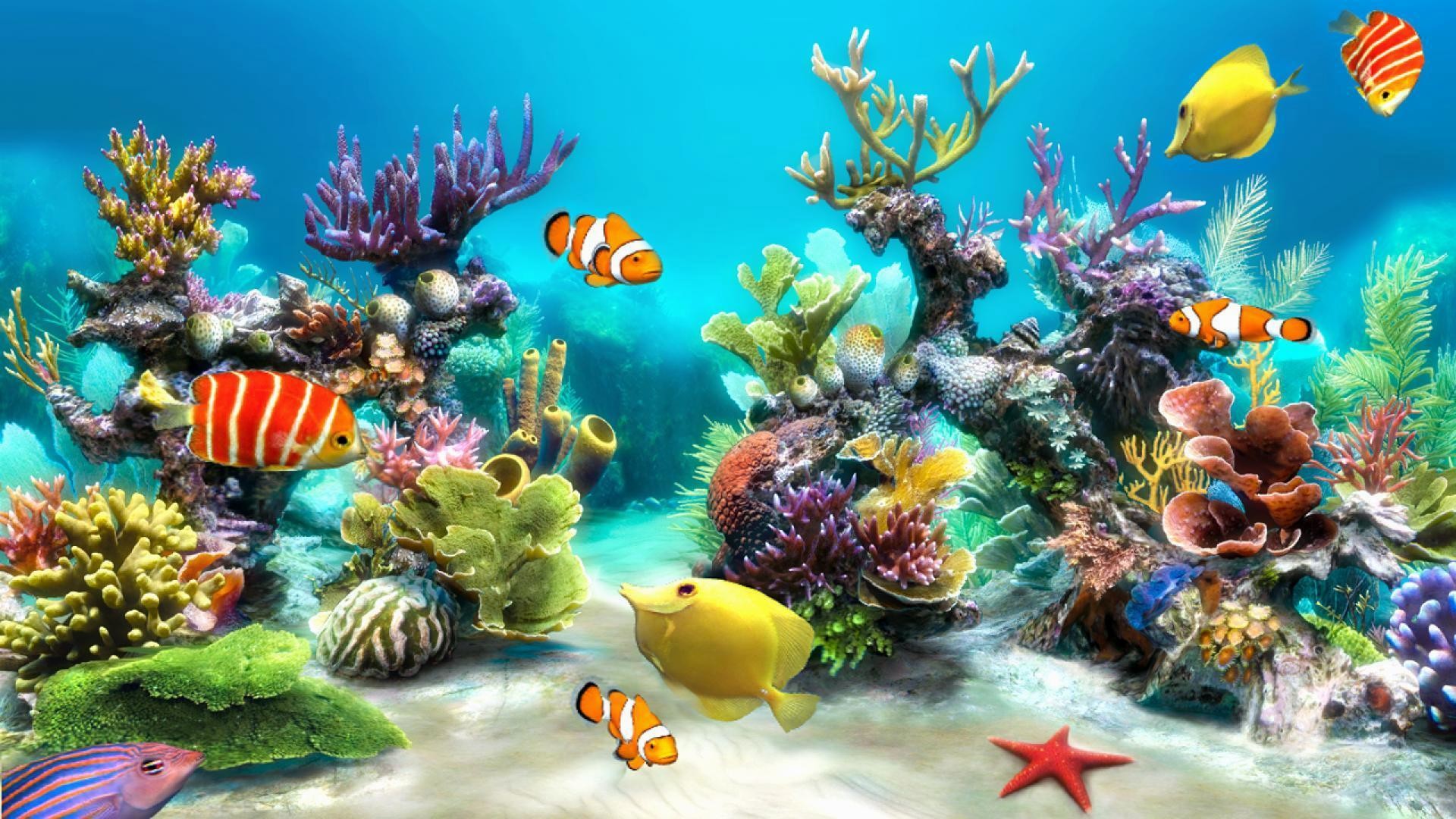 Animated Aquarium Desktop Wallpaper